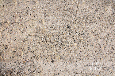 JD PHOTOGRAPHY  Fotopozadí - podlaha - pláž Egypt 1