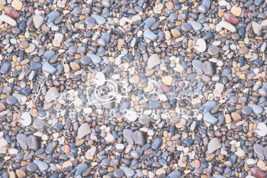 JD PHOTOGRAPHY  Fotopozadí - DESIGN 163