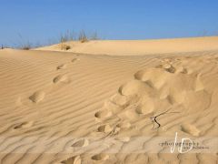 JD PHOTOGRAPHY  Fotopozadí - KRAJINA - příroda 5