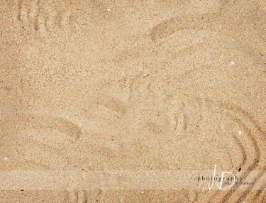 JD PHOTOGRAPHY  Foto pozadí - písečná pláž