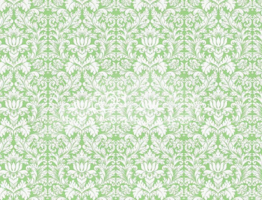 JD PHOTOGRAPHY  Fotopozadí - DAMAŠEK 177 s texturou