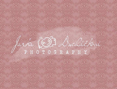 JD PHOTOGRAPHY  Fotopozadí - DAMAŠEK 172