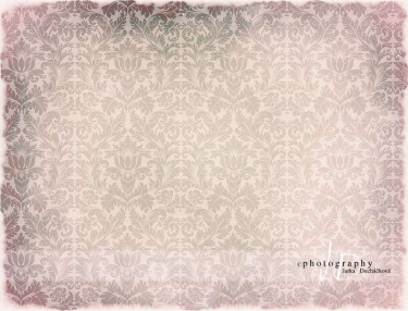 JD PHOTOGRAPHY  Fotopozadí - DAMAŠEK 145