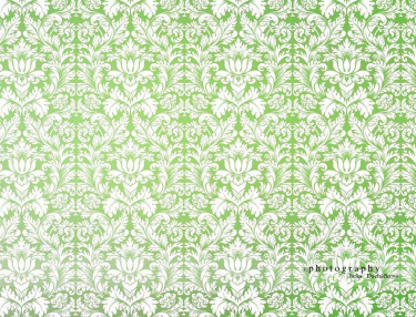 JD PHOTOGRAPHY  Fotopozadí - DAMAŠEK 133