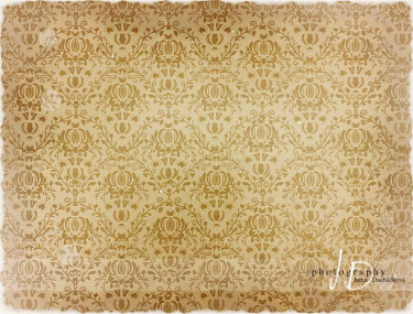 JD PHOTOGRAPHY  Fotopozadí - DAMAŠEK 124