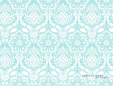 JD PHOTOGRAPHY  Fotopozadí - DAMAŠEK 74