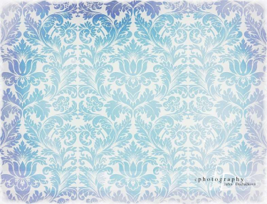 JD PHOTOGRAPHY  Fotopozadí - DAMAŠEK 67 retro