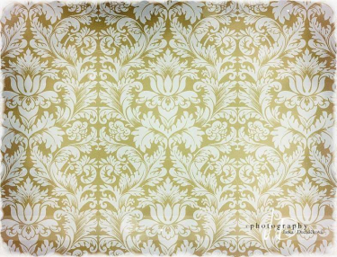 JD PHOTOGRAPHY  Fotopozadí - DAMAŠEK 63 retro