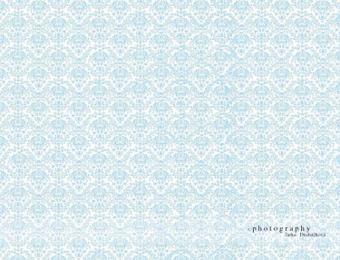 JD PHOTOGRAPHY  Fotopozadí - DAMAŠEK 40