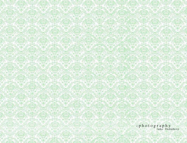 JD PHOTOGRAPHY  Fotopozadí - DAMAŠEK 39