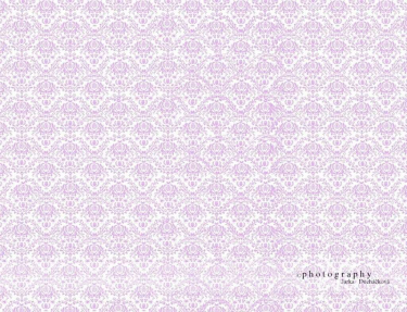 JD PHOTOGRAPHY  Fotopozadí - DAMAŠEK 38