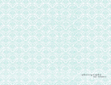 JD PHOTOGRAPHY  Fotopozadí - DAMAŠEK 37