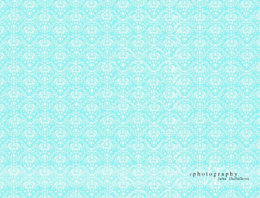 JD PHOTOGRAPHY  Fotopozadí - DAMAŠEK 27