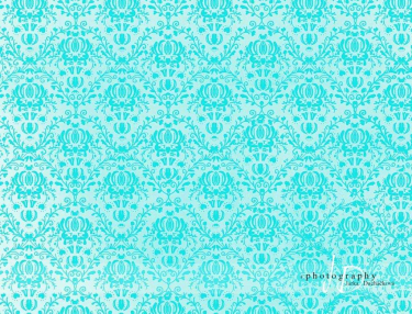 JD PHOTOGRAPHY  Fotopozadí - DAMAŠEK 15