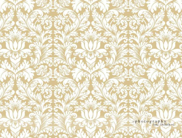 JD PHOTOGRAPHY  Fotopozadí - DAMAŠEK 64