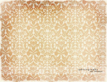 JD PHOTOGRAPHY  Fotopozadí - DAMAŠEK 144