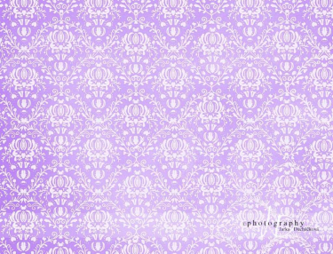 JD PHOTOGRAPHY  Fotopozadí - DAMAŠEK 11