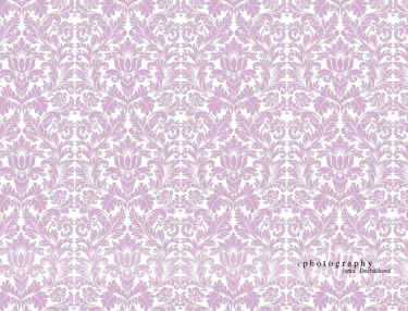 JD PHOTOGRAPHY  Fotopozadí - DAMAŠEK 143