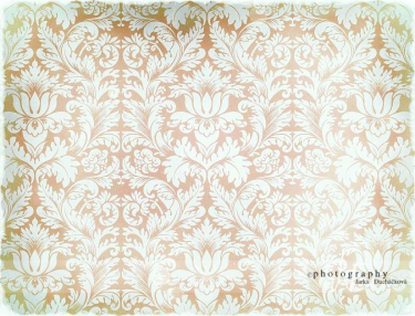 JD PHOTOGRAPHY  Fotopozadí - DAMAŠEK 123