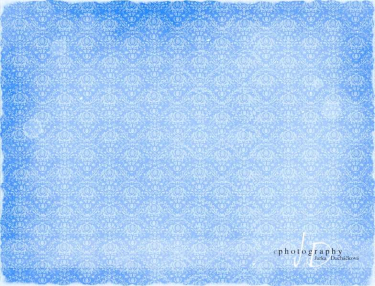 JD PHOTOGRAPHY  Fotopozadí - DAMAŠEK 31