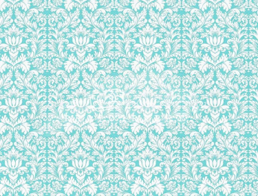 JD PHOTOGRAPHY  Fotopozadí - DAMAŠEK 178 s texturou