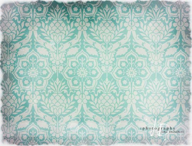 JD PHOTOGRAPHY  Fotopozadí - DAMAŠEK 76 retro