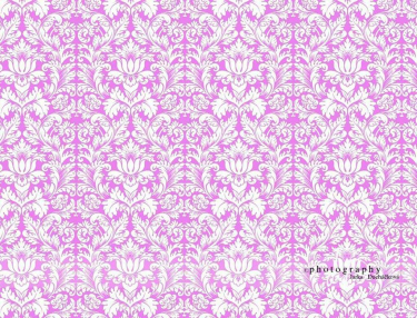 JD PHOTOGRAPHY  Fotopozadí - DAMAŠEK 136