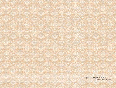 JD PHOTOGRAPHY  Fotopozadí - DAMAŠEK 28