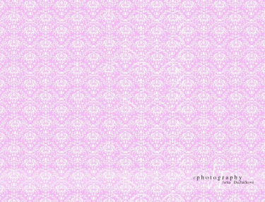 JD PHOTOGRAPHY  Fotopozadí - DAMAŠEK 26