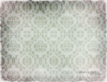 JD PHOTOGRAPHY  Fotopozadí - DAMAŠEK 93 retro