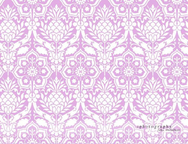 JD PHOTOGRAPHY  Fotopozadí - DAMAŠEK 73