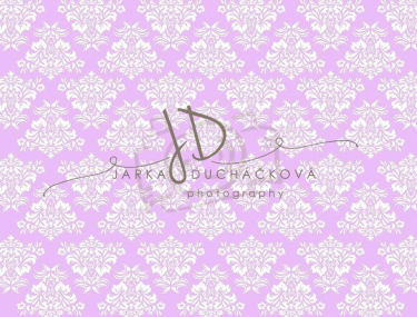 JD PHOTOGRAPHY  Fotopozadí - DAMAŠEK 183