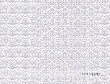 JD PHOTOGRAPHY  Fotopozadí - DAMAŠEK 35