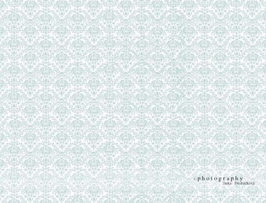 JD PHOTOGRAPHY  Fotopozadí - DAMAŠEK 34