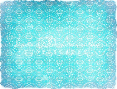 JD PHOTOGRAPHY  Fotopozadí - DAMAŠEK 167