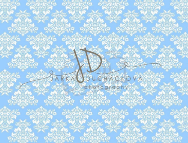 JD PHOTOGRAPHY  Fotopozadí - DAMAŠEK 181