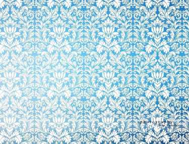 JD PHOTOGRAPHY  Fotopozadí - DAMAŠEK 130