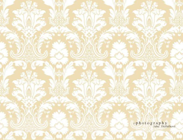 JD PHOTOGRAPHY  Fotopozadí - DAMAŠEK 68