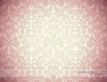 JD PHOTOGRAPHY  Fotopozadí - DAMAŠEK 108