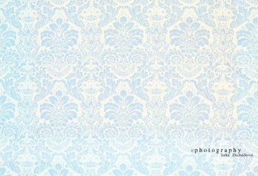 JD PHOTOGRAPHY  Fotopozadí - DAMAŠEK 148