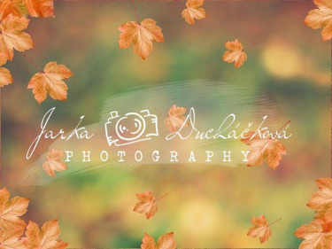 JD PHOTOGRAPHY  Fotopozadí - DESIGN 255