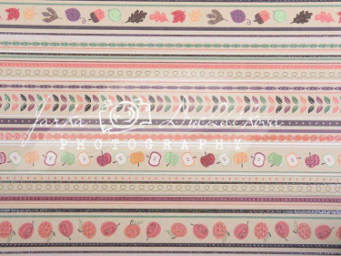 JD PHOTOGRAPHY  DESIGN 228 podzim