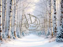 Fotopozadí - Cesta sněhová 9