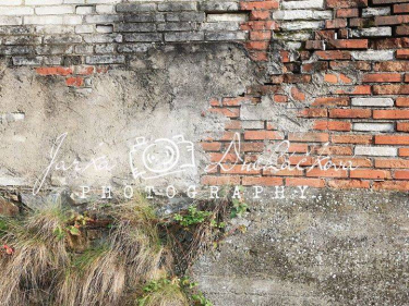 JD PHOTOGRAPHY  Fotopozadí - ZEĎ 50