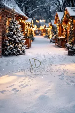 Fotopozadí - CHRISMAS SPOJENÉ 156