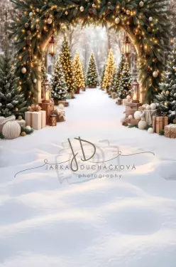 Fotopozadí - CHRISMAS SPOJENÉ 157