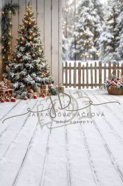 Fotopozadí - CHRISMAS SPOJENÉ 162