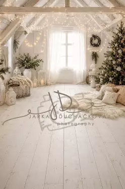 Fotopozadí - CHRISMAS SPOJENÉ 163
