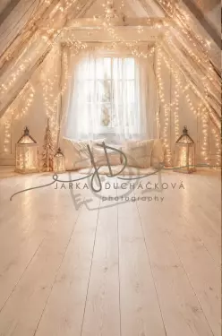 Fotopozadí - CHRISMAS SPOJENÉ 168