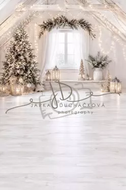Fotopozadí - CHRISMAS SPOJENÉ 170